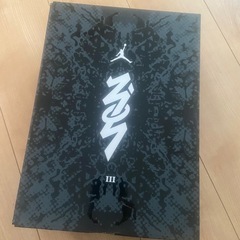 ☆今から取りに来れる方のみ限定　バスケットシューズ　ジョーダン　ザイオンⅢの画像