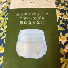 大人用紙パンツ　 お茶の力パンツ　サイズＭの画像