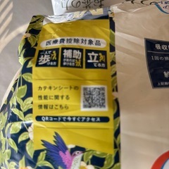 大人用紙パンツ　 お茶の力パンツ　サイズＭの画像
