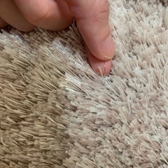 ラグの画像