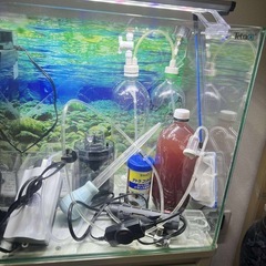 水槽セットの画像
