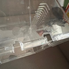 爬虫類　両生類　小動物　ケージの画像