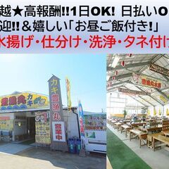 高報酬10,800円(日払OK)＆昼食付★「豊漁丸」の牡蠣(カキ)の水揚・仕分け・洗浄・タネ付け作業★の画像