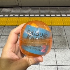 daisuke kondo　イヌ　ティラノ　犬