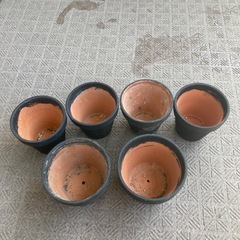 植木鉢 プランター　セットの画像