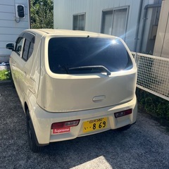 とりあえずの足に！の画像