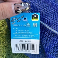 魚 網 釣りの画像