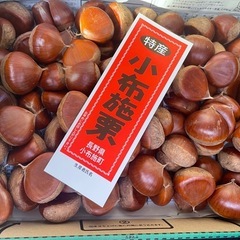 タイムセール❗️小布施栗🌰家庭用500gの画像