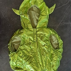 ZARAKIDSエイリアンコスチューム👽💚の画像