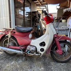 リトルカブC50ノーマル🟥赤ノーマルカスタム、レストア　　の画像