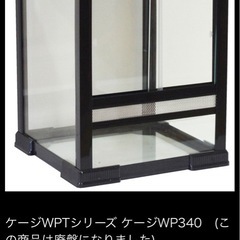  ワイルドプラネット(WILD PLANET)　ニッソー　マルカンの画像