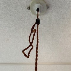 電球型　ペンダントシーリングライトの画像