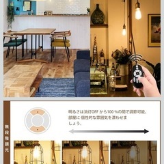 電球型　ペンダントシーリングライトの画像