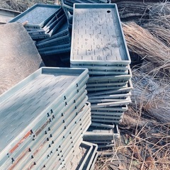 【報酬2000円】苗箱差し上げます！の画像