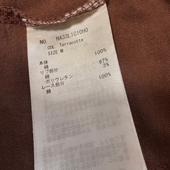 ブラウン　フリルTシャツの画像