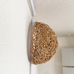 アジアン ウォールランプ 関節照明 エスニック照明の画像