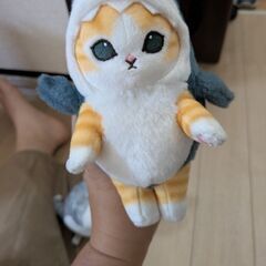 ぬいぐるみの画像