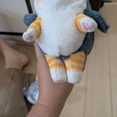 ぬいぐるみの画像
