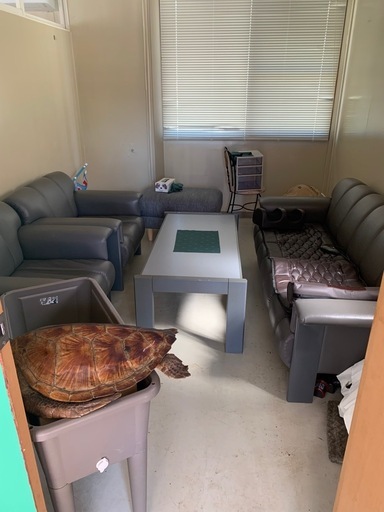 ソファーセット