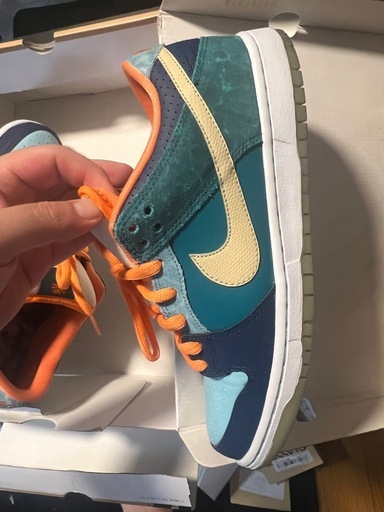 Nike Dunk SB Low 