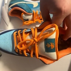 Nike Dunk SB Low "Mia Skate Shop"の画像