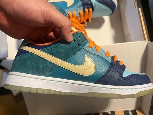 Nike Dunk SB Low 