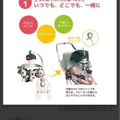 メリーセットの画像