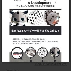 メリーセットの画像