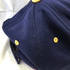 ⭐︎ドリーム2号館⭐︎ブルーインパルス/キャップ/Lの画像