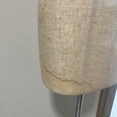 キイヤ　レディースマネキンの画像
