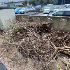 （連絡対応締日10/3まで）木材の画像