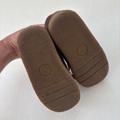 ハンテン　17cmの画像