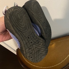 17cm 水陸両用　今年購入の画像