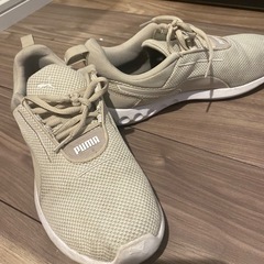 PUMA 24cm スニーカーの画像