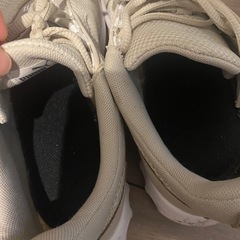 PUMA 24cm スニーカーの画像