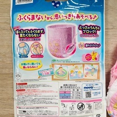 水遊びパンツ ビッグ2枚の画像