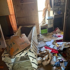 草刈・伐採・お片づけ！の画像