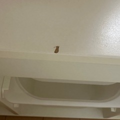 IKEA トロファストの画像