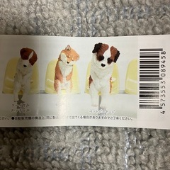 いっしょにねんぬねの画像