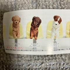 いっしょにねんぬねの画像