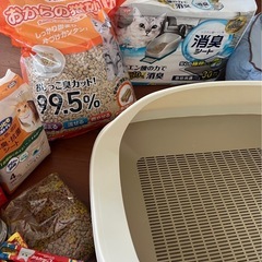 猫用品　の画像