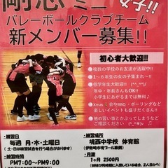 小学生女子のミニバレーボールクラブです!の画像