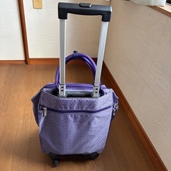 キャスター付きバッグ
の画像