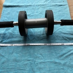 💪運動の秋　腹筋ローラーの画像
