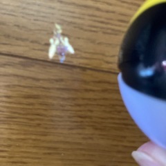 ポケモンセンター プロジェクターらいとライトの画像