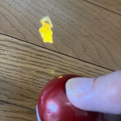 ポケモンセンター プロジェクターらいとライトの画像