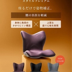 スタイルチェアーの画像