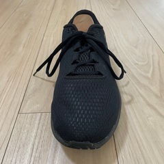 アンダーアーマー チャージドパスート2 25.5cmの画像