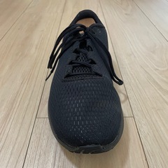 アンダーアーマー チャージドパスート2 25.5cmの画像