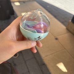 ディズニーホエール(マーメードラグーン)の画像